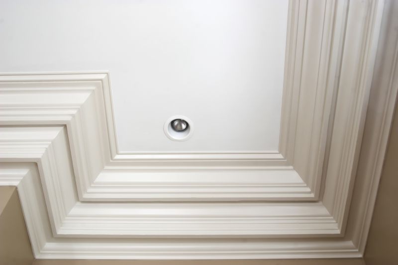 Elegant Ceiling Detailing